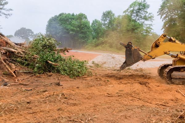 Forestry Mulching Service in Lockport