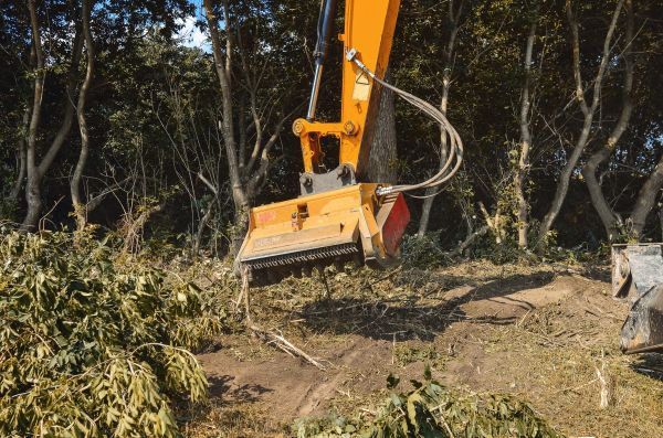Brush Removal Service in Lockport