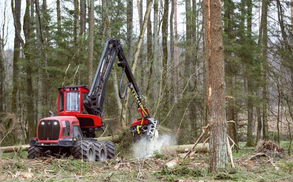 Forest Clearance Service in Lockport