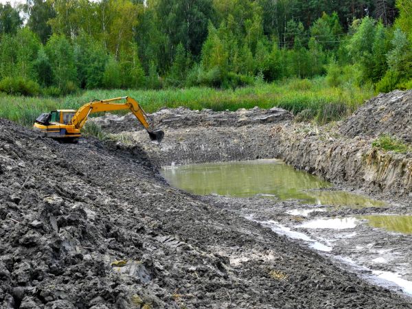 Lake Lot Clearing in Lockport