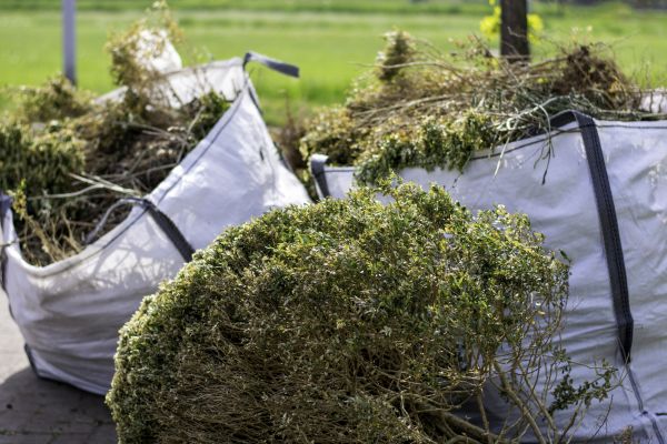Bushes Clearing in Lockport