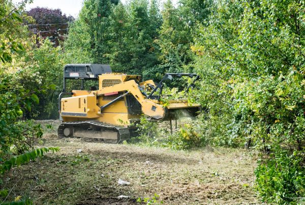 Pathway Clearing in Lockport