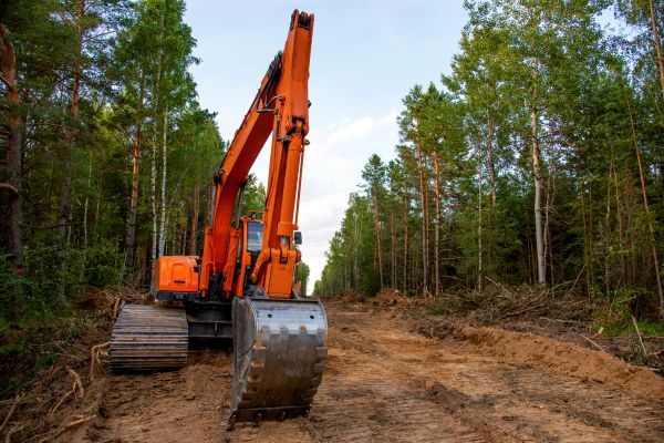 Backhoe Land Clearing in Lockport