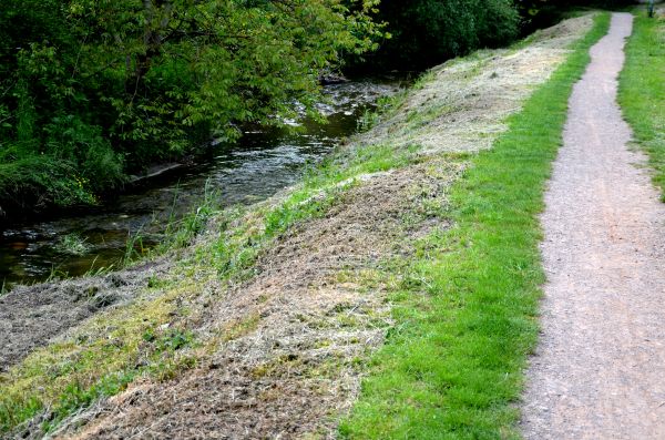 Trail Cutting in Lockport