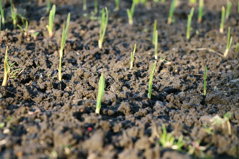 Spring Land Preparation