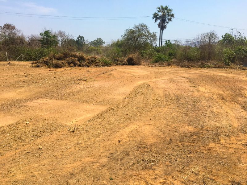 Clearing Land for Development