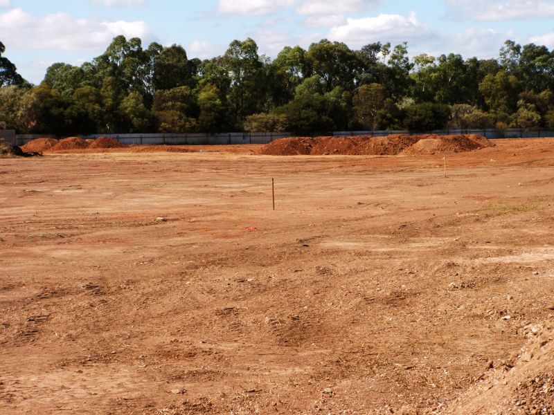Land Clearing in Action